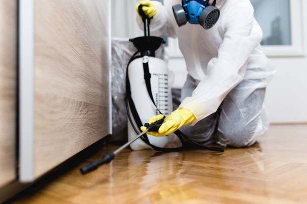 Best Commercial Pest Control Services  in West Alexandria, OH