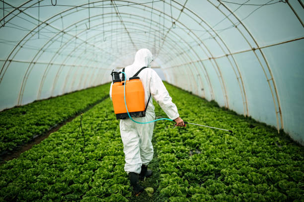 Best Mosquito Control Services  in West Alexandria, OH