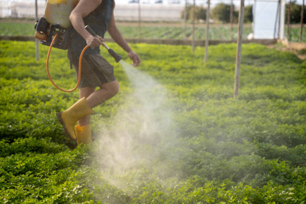 Best Best Pest Control Companies  in West Alexandria, OH