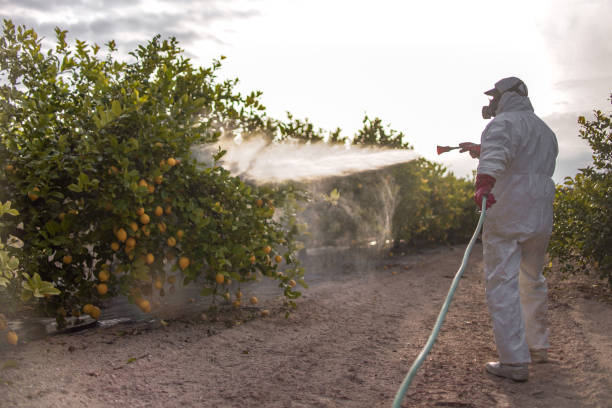 Best Pest Removal Services  in West Alexandria, OH