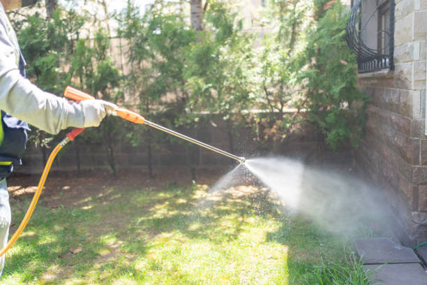 Best Affordable Pest Control Services  in West Alexandria, OH